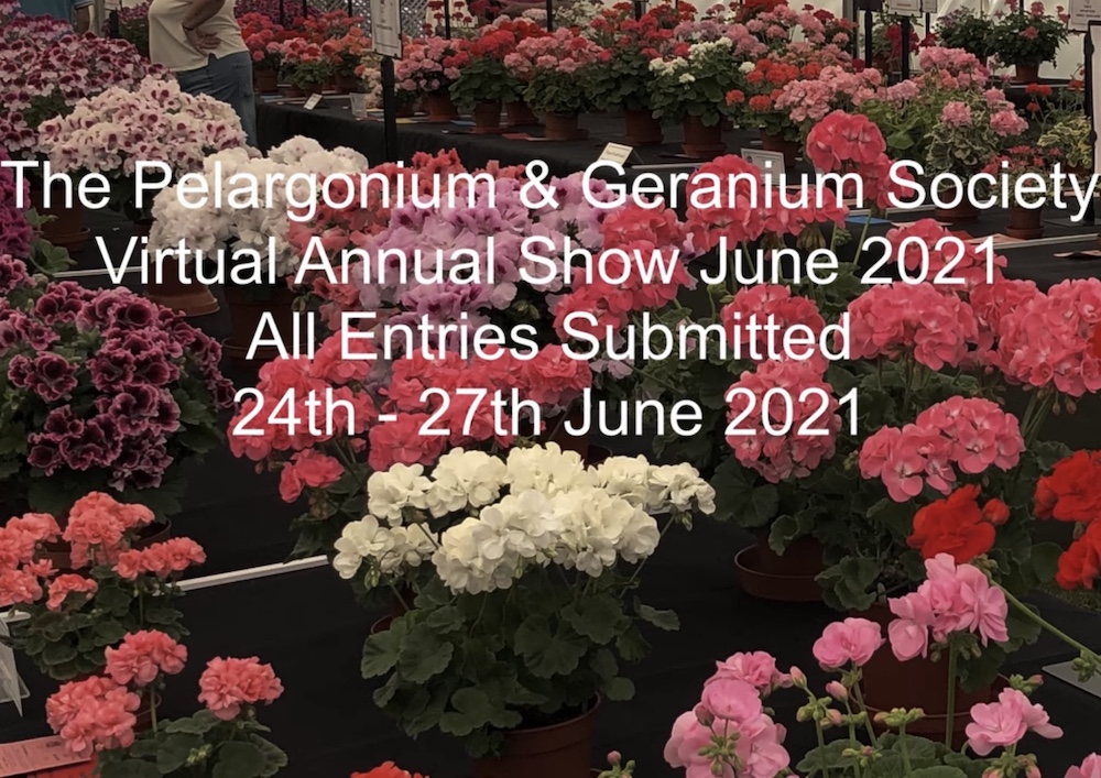 PAGS Virtual Show 2021 Results
