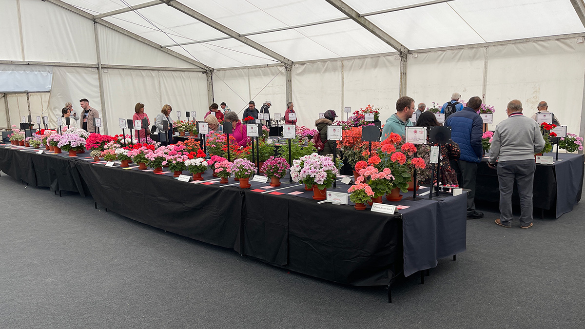 Review of the 2022 National Show