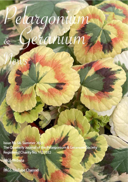 PAGS News Summer 2023