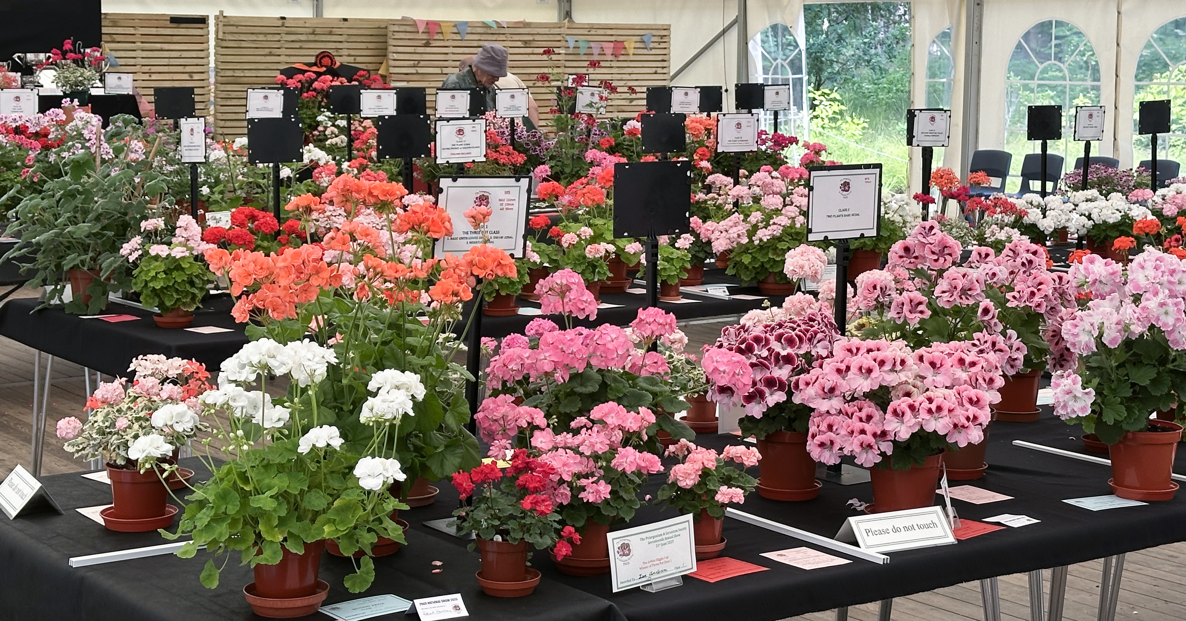 Review of 2025 National Show